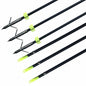 Bowfishing Arrows with Stainless Steel Broadheads
