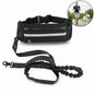 Hands Free Dog Leash for Running Walking