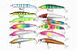 Fishing Lure 10 Piece Set